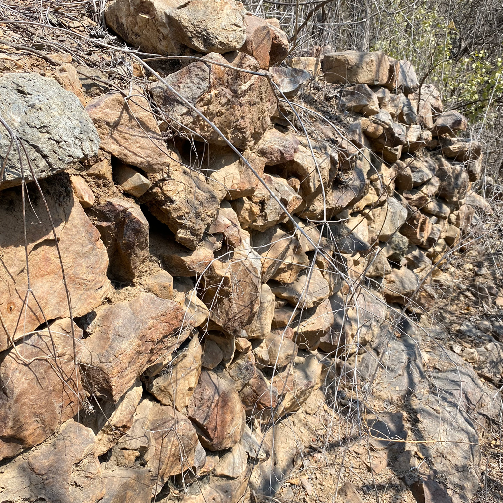 hallazgo arqueológico motupe bosque de chalpón pirka motupe